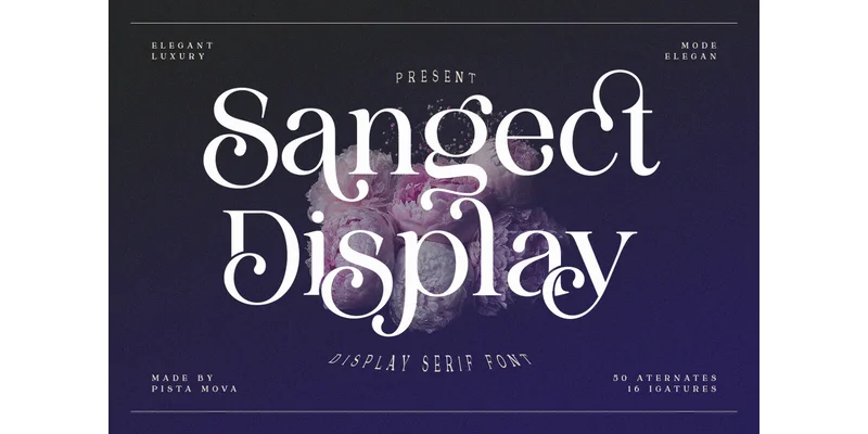Sangect Display Font by Pista Mova — Display Font