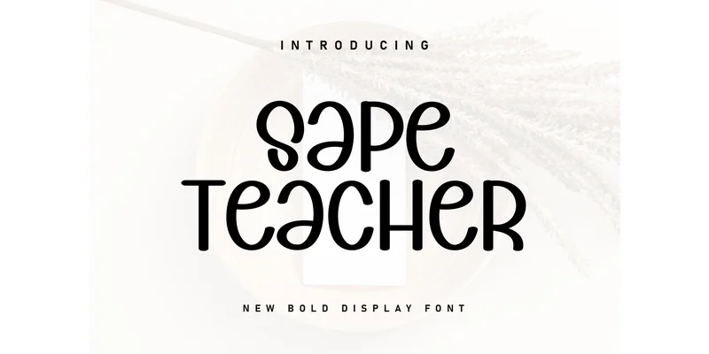 Sape Teacher Font by ArtLine Design — Display Font