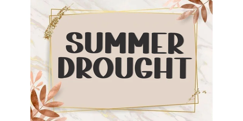 School Dropout Font by FreshTypeINK — Display Font — thumbnail 6
