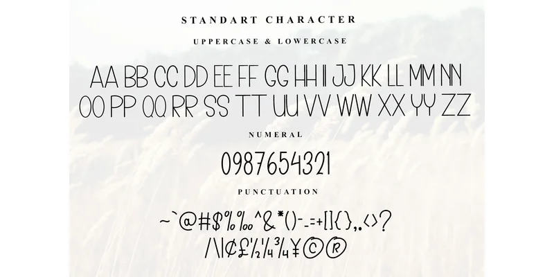 School Teacher Font by Inermedia STUDIO — Sans Serif Font — thumbnail 5