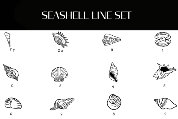 Seashell Line Set by Heartcraft Atelier — Dingbats Font — thumbnail 4