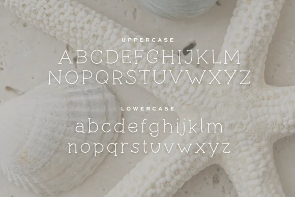 Seashells by Pretty Decadent — Slab Serif Font — thumbnail 2
