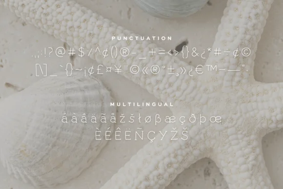 Seashells by Pretty Decadent — Slab Serif Font — thumbnail 4
