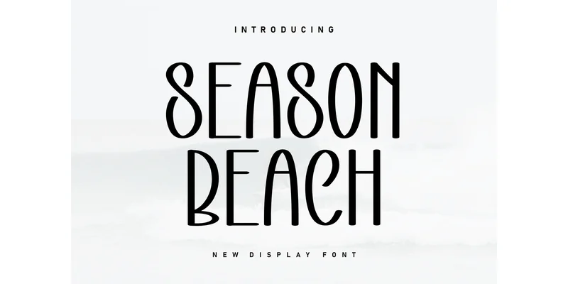 Season Beach Font by ArtLine Design — Display Font