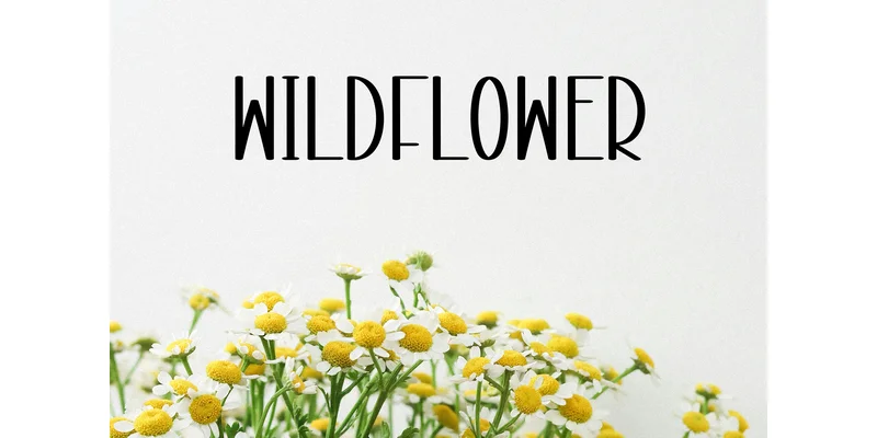 Season Beach Font by ArtLine Design — Display Font — thumbnail 4