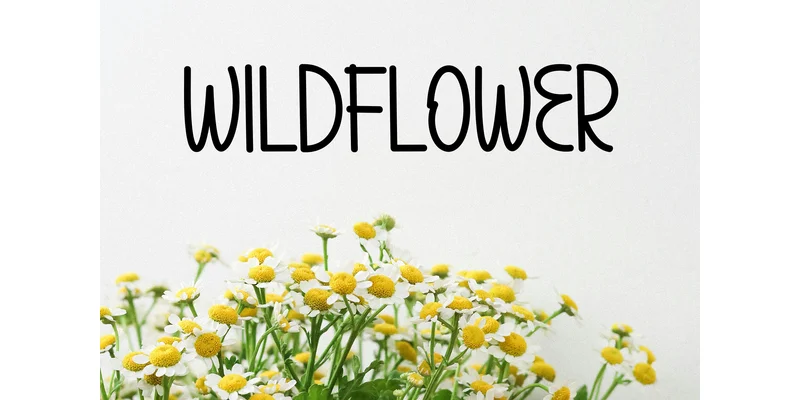 Seraphina Font by KC Production — Display Font — thumbnail 4