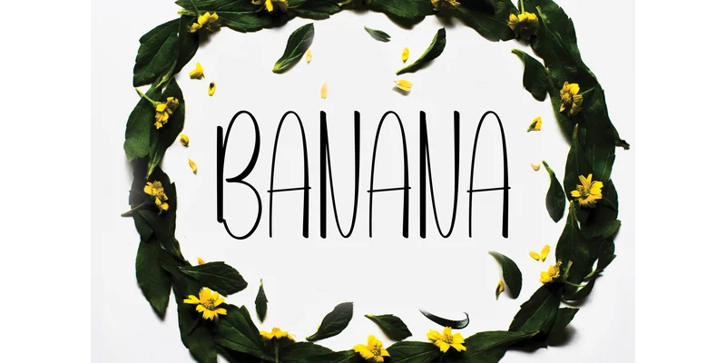 Serendipity Font by KC Production — Display Font — thumbnail 2