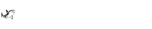 Shark Fish by MOMAT THIRTYONE — Dingbats Font — thumbnail 4
