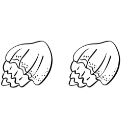 Shellfish by Sirinart — Dingbats Font — thumbnail 8