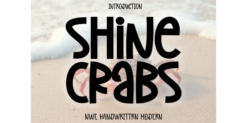 Shine Crabs Font by Plafont store — Display Font