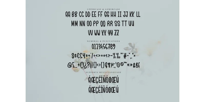 Signature Font by 21Design — Display Font — thumbnail 5