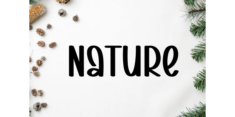 Silent Bold Font by ArtLine Design — Display Font — thumbnail 3