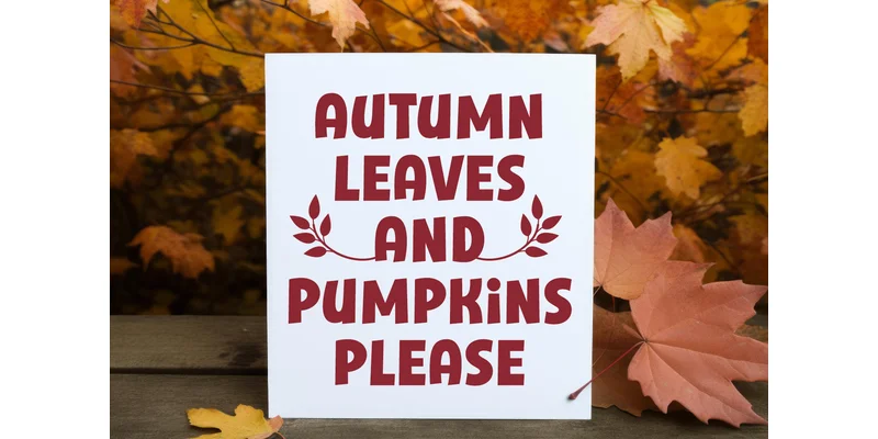 Simple Autumn Font by Eightde — Display Font — thumbnail 2