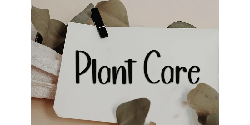 Simple Challenge Font by PiPi Creative — Display Font — thumbnail 3