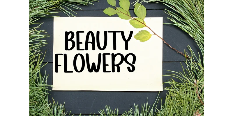 Simple Twinkel Font by Inermedia STUDIO by Inermedia STUDIO — Display Font — thumbnail 5