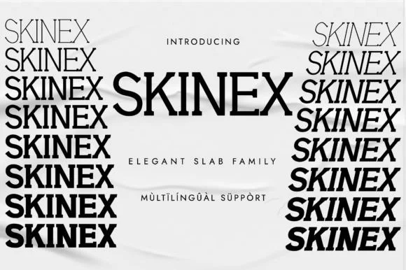 Skinex by Minimalistartstudio — Slab Serif Font