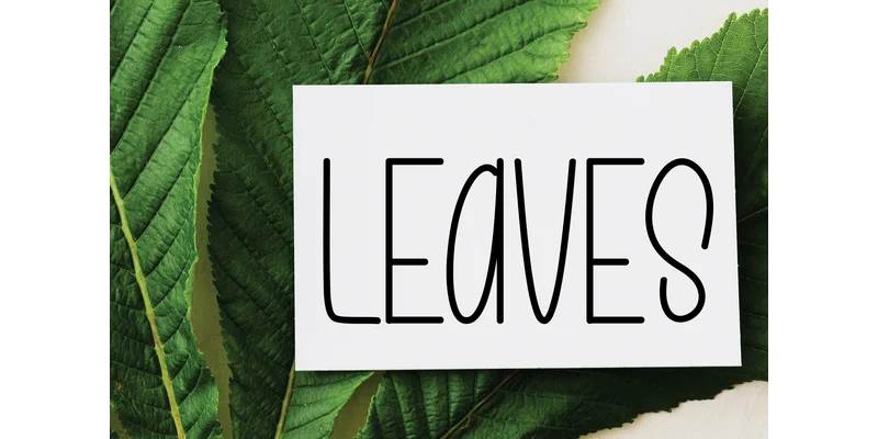 Small Notes Font by Berkah Shop by Berkah Shop — Display Font — thumbnail 4