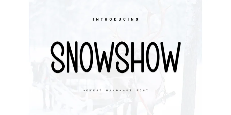 Snowshow Font by ArtLine Design — Display Font