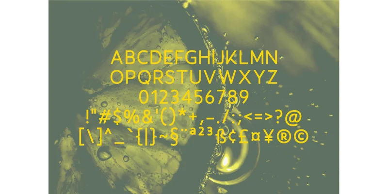 Sortlime Font by Nan Design — Sans Serif Font — thumbnail 2