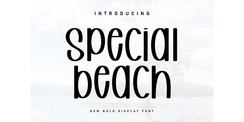 Special Beach Font by ArtLine Design — Display Font