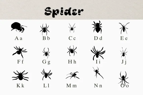Spider by Nongyao — Dingbats Font — thumbnail 2