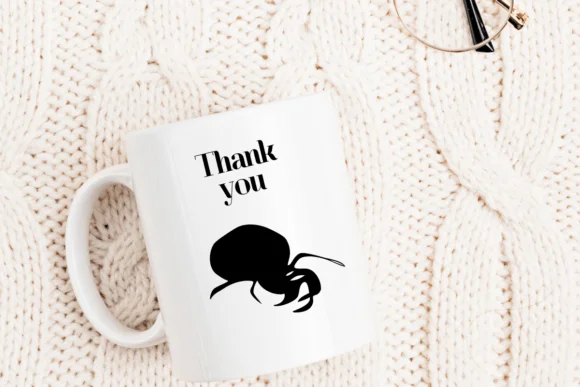 Spider by Nongyao — Dingbats Font — thumbnail 7