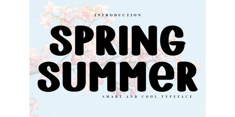 Spring Summer Font by Inermedia STUDIO — Display Font
