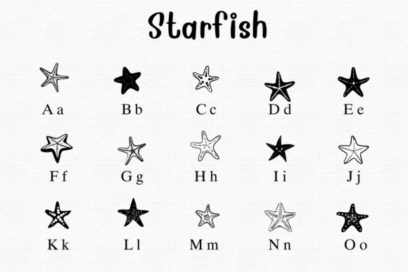 Starfish by Nongyao — Dingbats Font — thumbnail 2