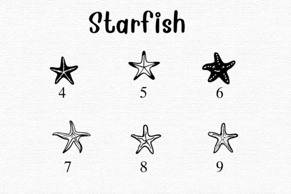 Starfish by Nongyao — Dingbats Font — thumbnail 4