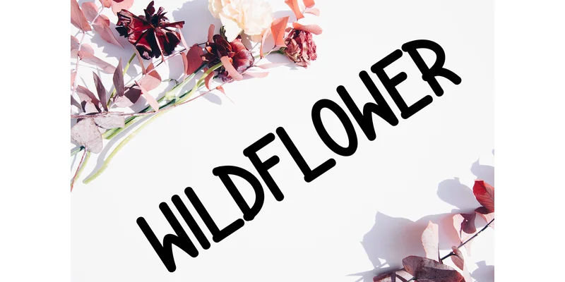 Starlight Font by Berkah Shop — Display Font — thumbnail 4