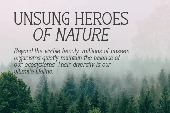 Stories Typewrite by Eystore — Slab Serif Font — thumbnail 7