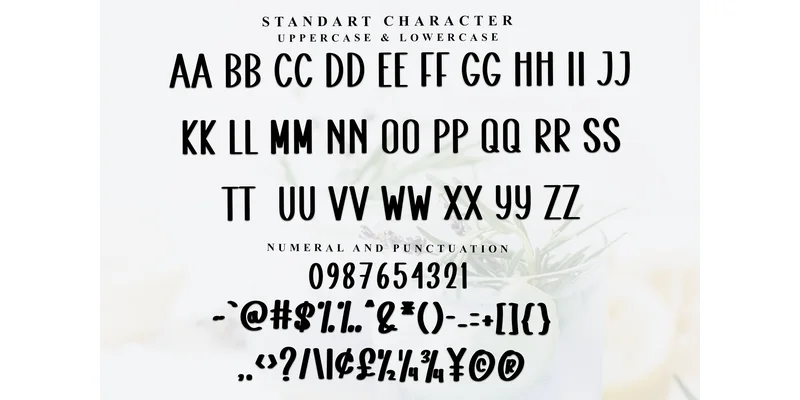 Strong Farmhouse Font by Inermedia STUDIO — Display Font — thumbnail 6