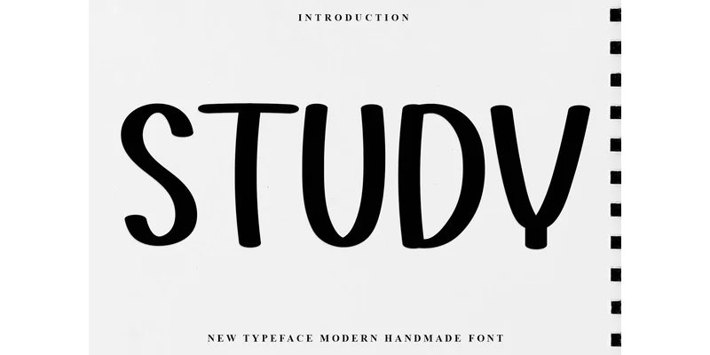 Study Font by Inermedia STUDIO — Display Font