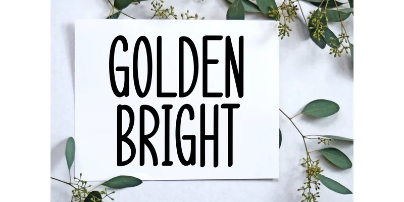 Stylish January Font by ArtLine Design — Display Font — thumbnail 4