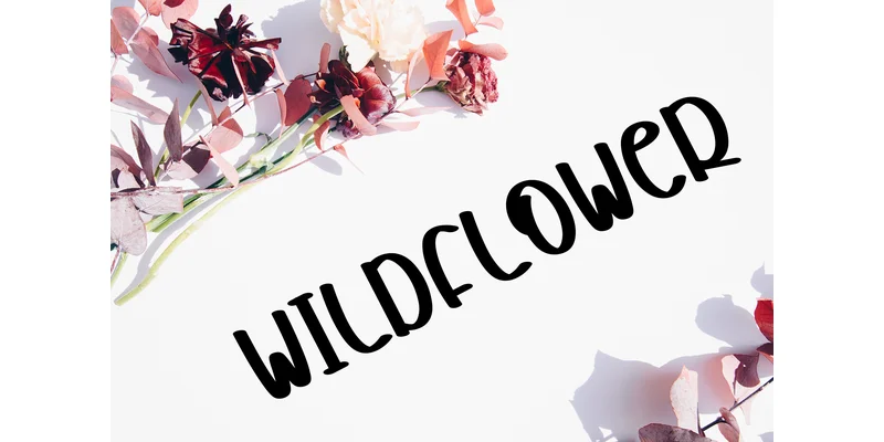 Summer Balista Font by KC Production — Display Font — thumbnail 3
