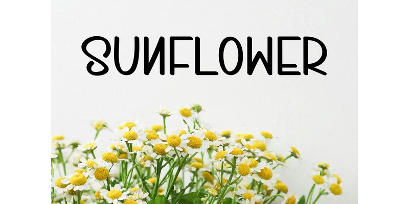 Summer Balsam Font by KC Production — Display Font — thumbnail 4