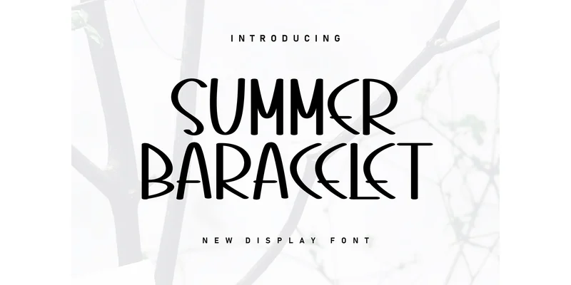 Summer Baracelet Font by ArtLine Design — Display Font