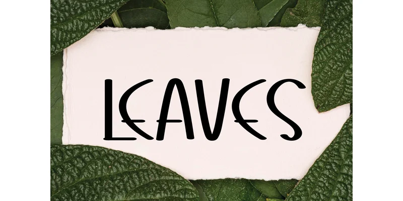 Summer Baracelet Font by ArtLine Design — Display Font — thumbnail 3