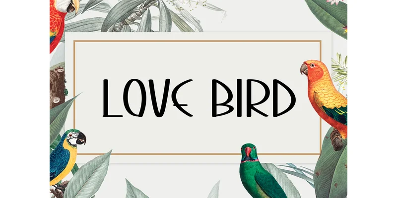 Summer Baracelet Font by ArtLine Design — Display Font — thumbnail 4