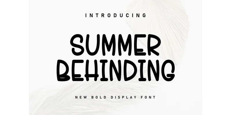 Summer Behinding Font by KC Production — Display Font