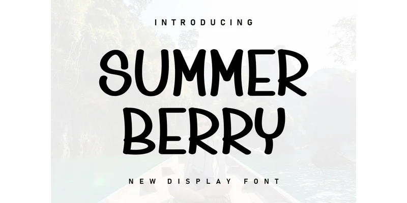 Summer Berry Font by ArtLine Design — Display Font