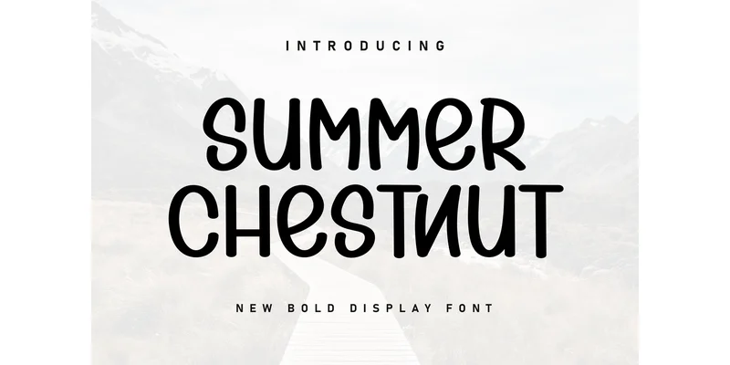 Summer Chestnut Font by KC Production — Display Font