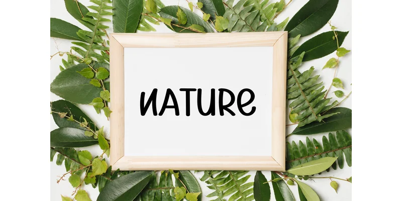 Summer Chestnut Font by KC Production — Display Font — thumbnail 4