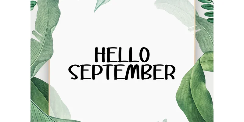 Summer Clara Font by KC Production — Display Font — thumbnail 3