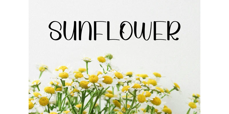 Summer Coming Font by Berkah Shop — Display Font — thumbnail 3