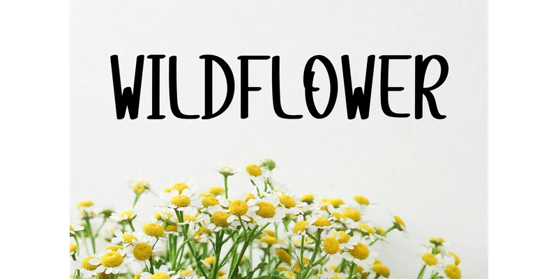 Summer Cowboy Font by Berkah Shop — Display Font — thumbnail 4
