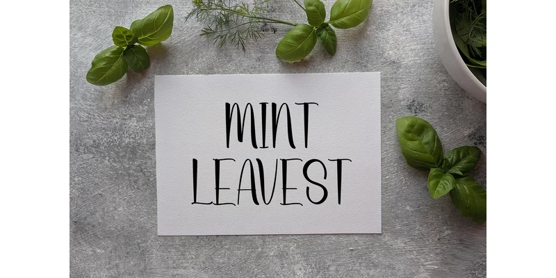 Summer Days Font by KC Production — Display Font — thumbnail 2
