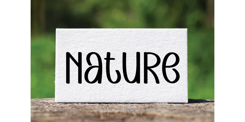 Summer Dignity Font by Berkah Shop — Display Font — thumbnail 4