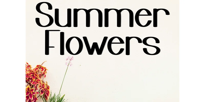 Summer Eclipse Font by Inermedia STUDIO — Display Font — thumbnail 6