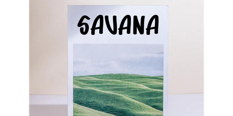 Summer Experience Font by KC Production — Display Font — thumbnail 2